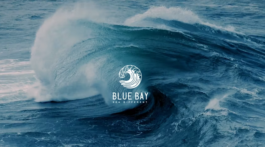Load video: Blue Bay Sunglasses