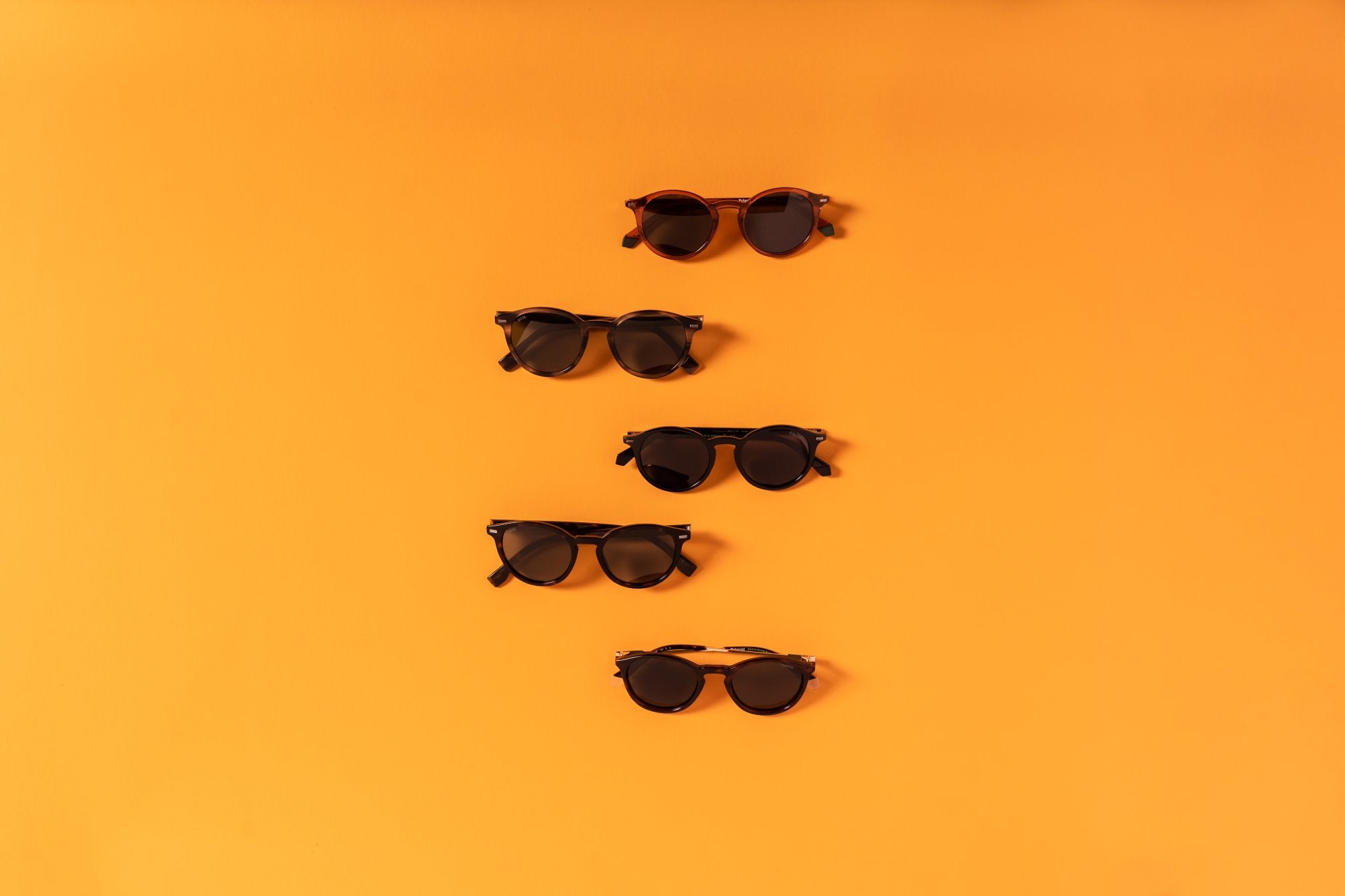 The State of The Eyewear Industry